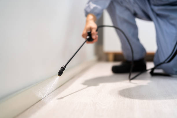 Licensed Pest Control service in Santa Teresa, NM - Show Me Pest Control